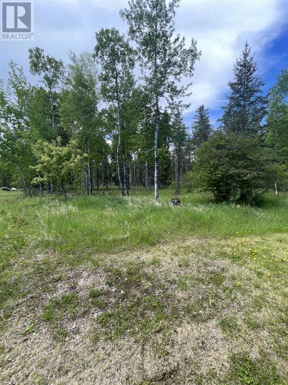 67 Chickadee Drive, Whitecourt, Alberta  T7S 1G2 - Photo 23 - A2138423