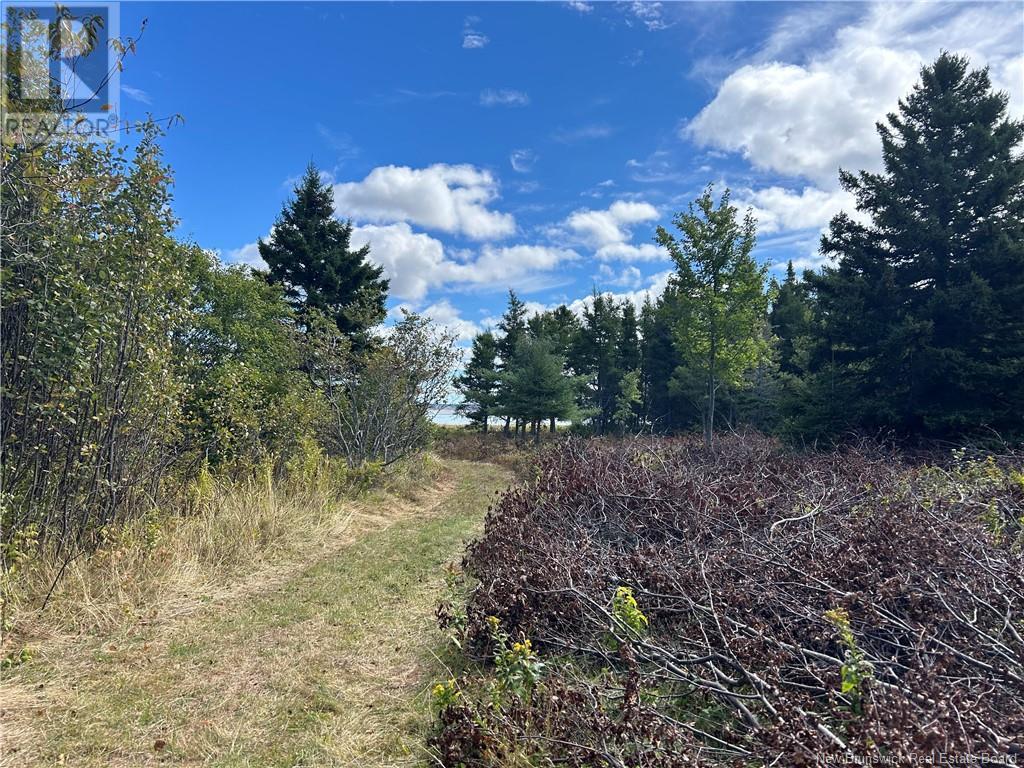 Lot Olivier Road, Maisonnette, New Brunswick  E8N 2A2 - Photo 11 - NB091221