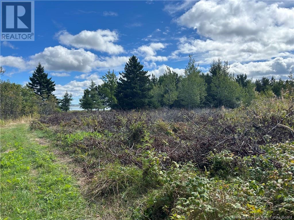 Lot Olivier Road, Maisonnette, New Brunswick  E8N 2A2 - Photo 12 - NB091221