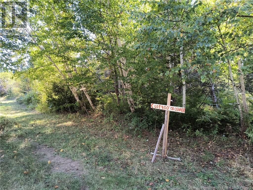 Lot Olivier Road, Maisonnette, New Brunswick  E8N 2A2 - Photo 21 - NB091221