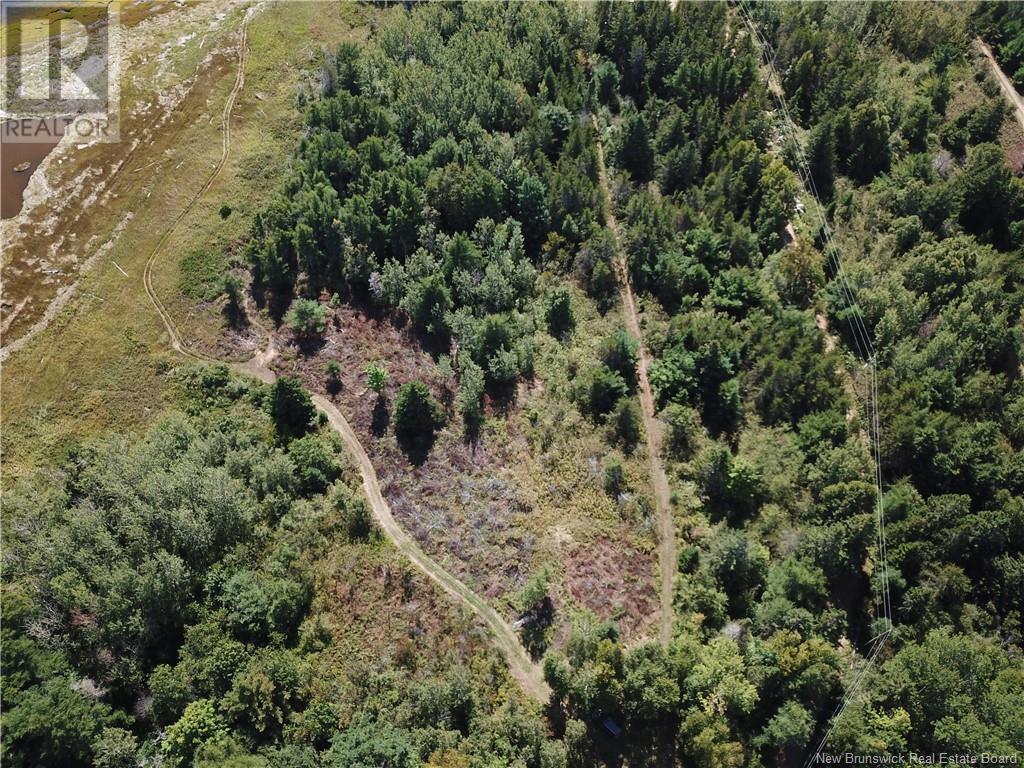 Lot Olivier Road, Maisonnette, New Brunswick  E8N 2A2 - Photo 30 - NB091221