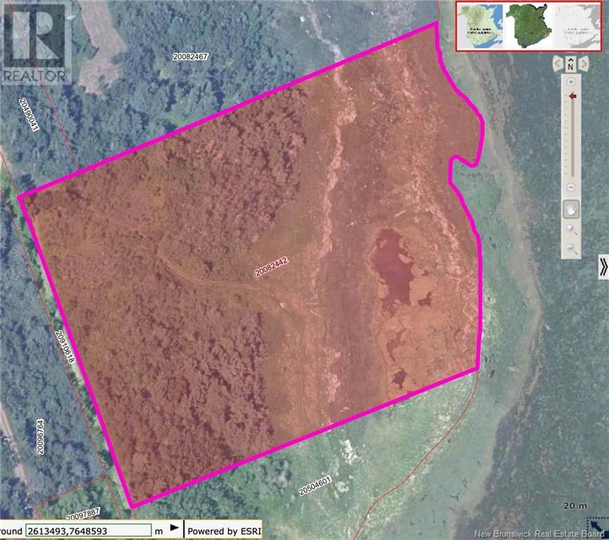 Lot Olivier Road, Maisonnette, New Brunswick  E8N 2A2 - Photo 14 - NB091221
