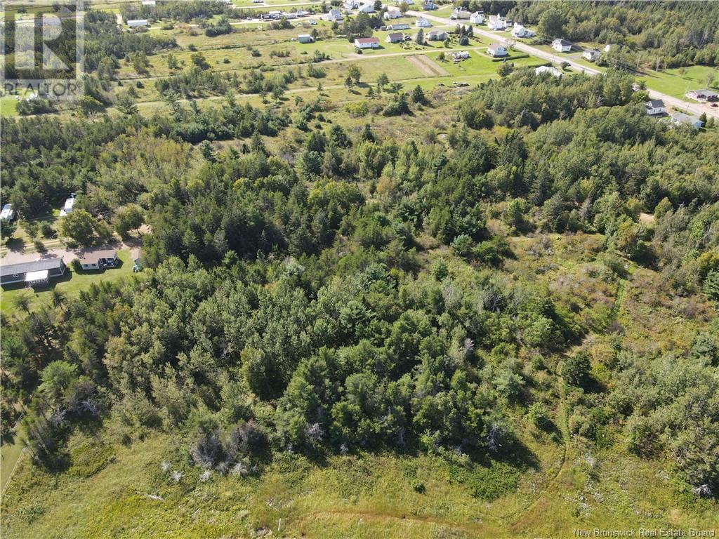 Lot Olivier Road, Maisonnette, New Brunswick  E8N 2A2 - Photo 20 - NB091221