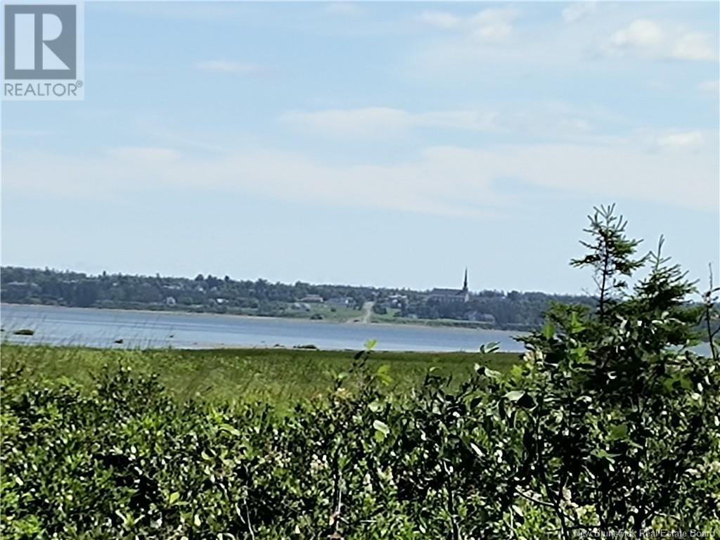 Lot Olivier Road, Maisonnette, New Brunswick  E8N 2A2 - Photo 16 - NB091221