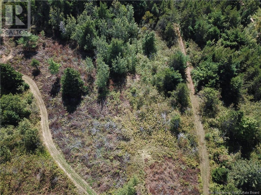 Lot Olivier Road, Maisonnette, New Brunswick  E8N 2A2 - Photo 24 - NB091221