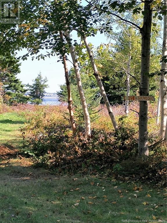 Lot Olivier Road, Maisonnette, New Brunswick  E8N 2A2 - Photo 22 - NB091221
