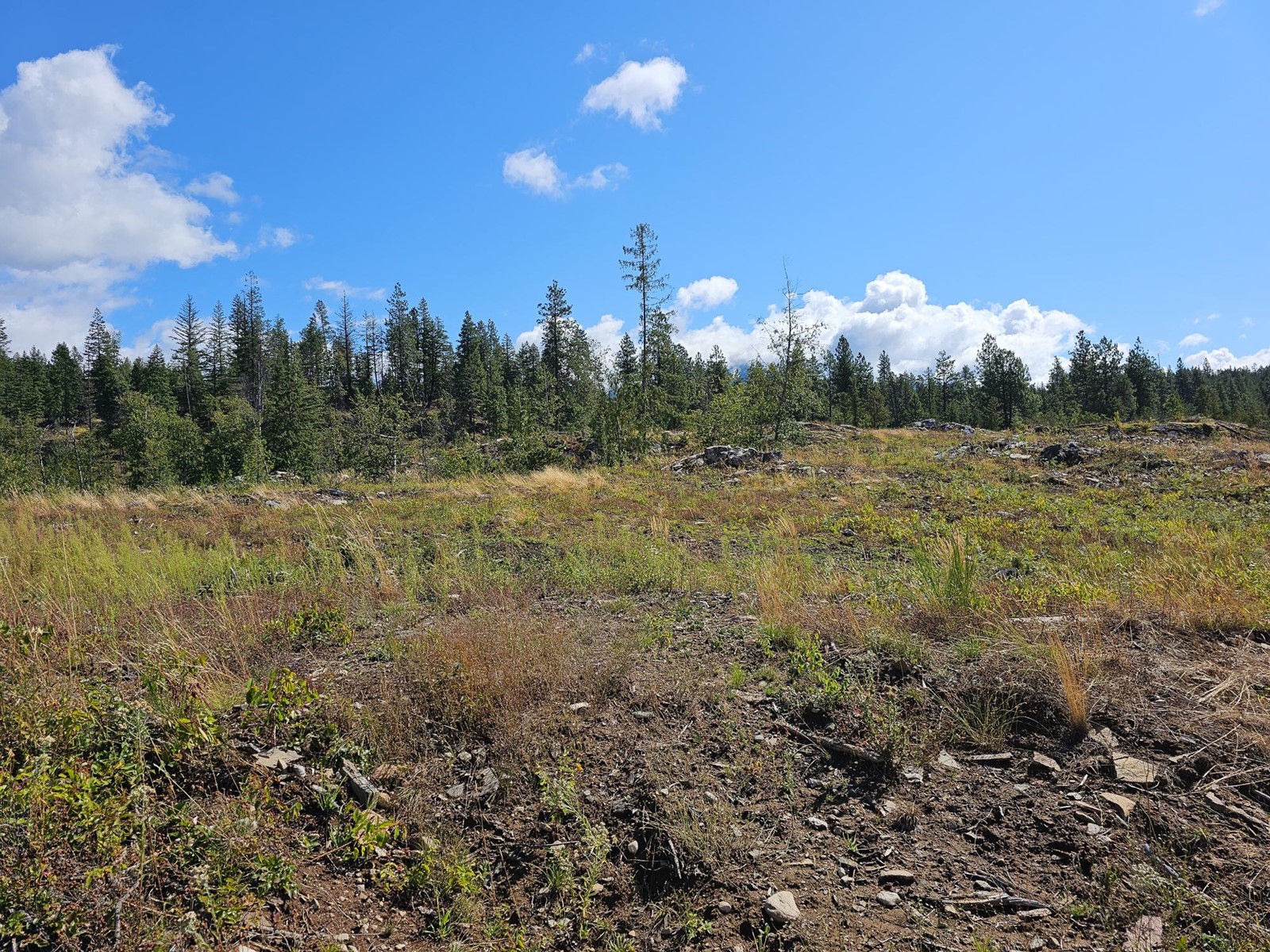 Lot 10  3a Highway, Crawford Bay, British Columbia  V0B 1E0 - Photo 9 - 2479778