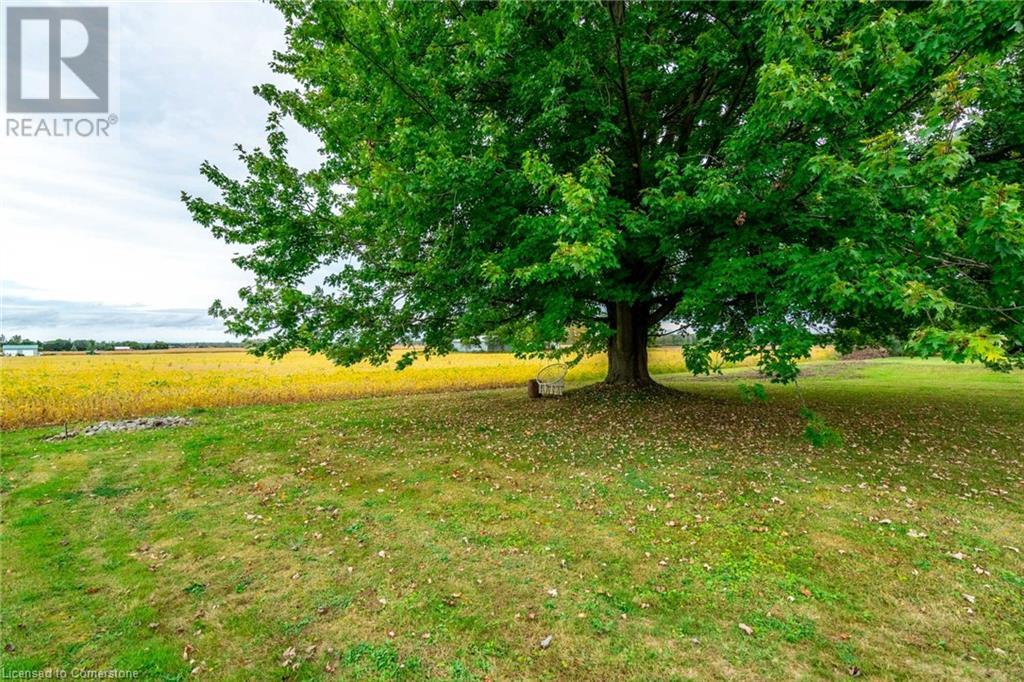 11582 Highway 3, Wainfleet, Ontario  L0S 1V0 - Photo 31 - 40653849