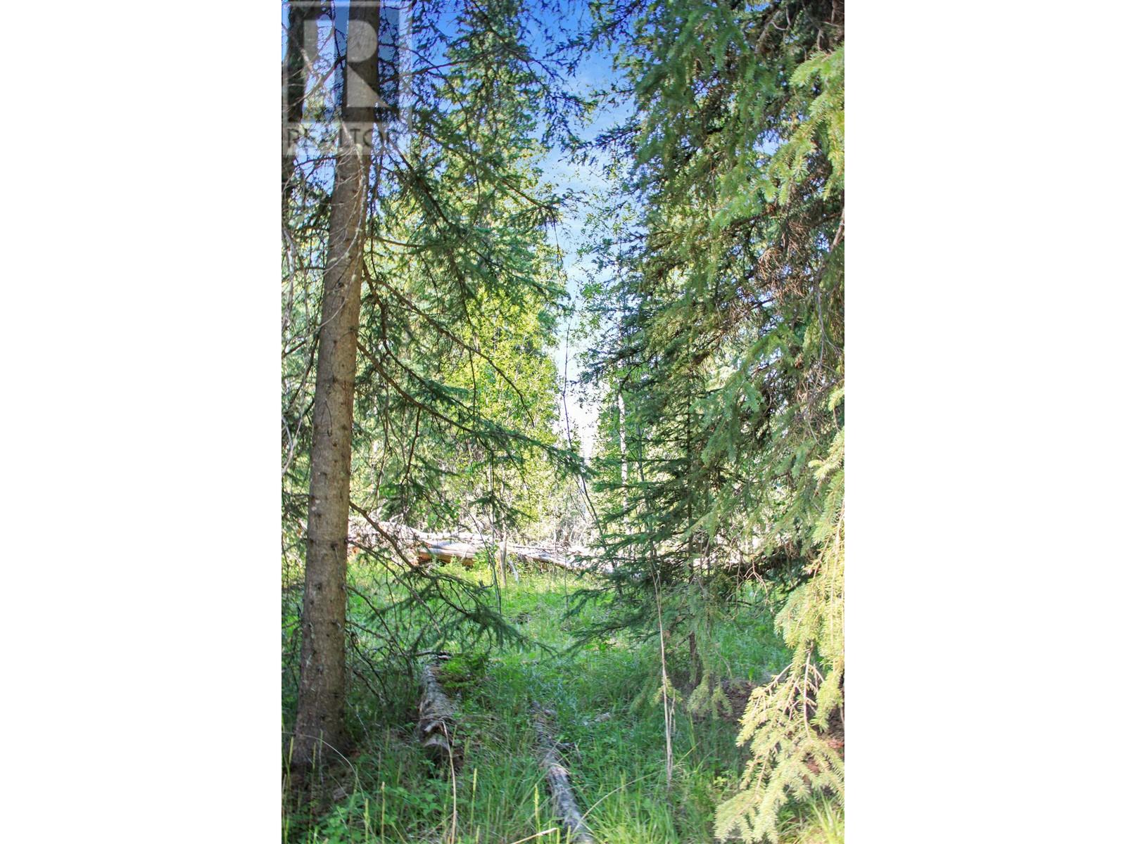 Lot 59 Nath Road, Sheridan Lake, British Columbia  V0K 1X1 - Photo 5 - R2909173