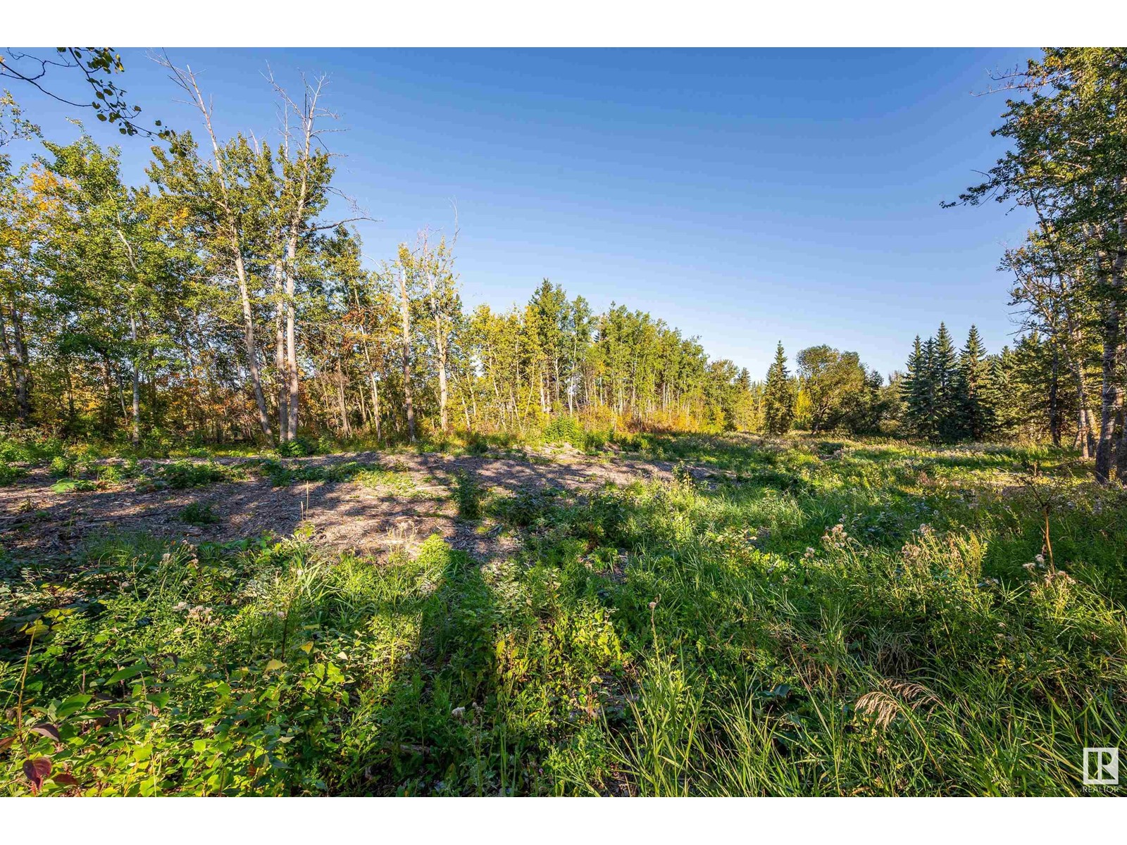 Lot 18b 52249 Rge Rd 233, Rural Strathcona County, Alberta  T8B 1C7 - Photo 5 - E4408038