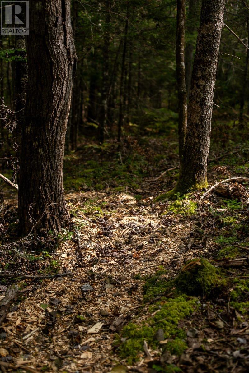 Lot 2 Stamping Mill Lane, Chester Basin, Nova Scotia  B0J 1K0 - Photo 5 - 202321084