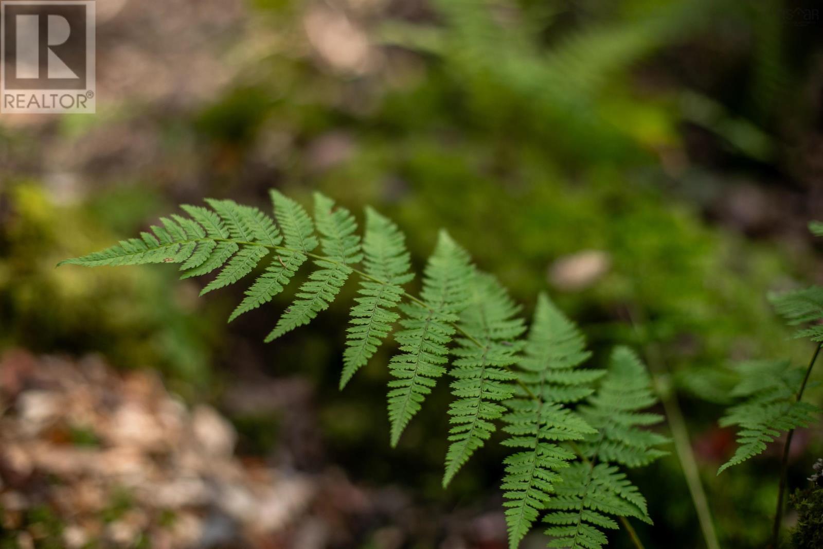 Lot 7 Stamping Mill Lane, Chester Basin, Nova Scotia  B0J 1K0 - Photo 6 - 202321082