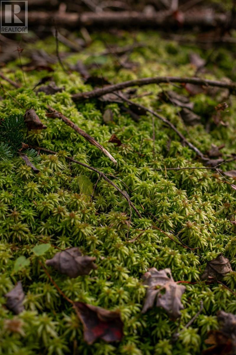 Lot 7 Stamping Mill Lane, Chester Basin, Nova Scotia  B0J 1K0 - Photo 7 - 202321082