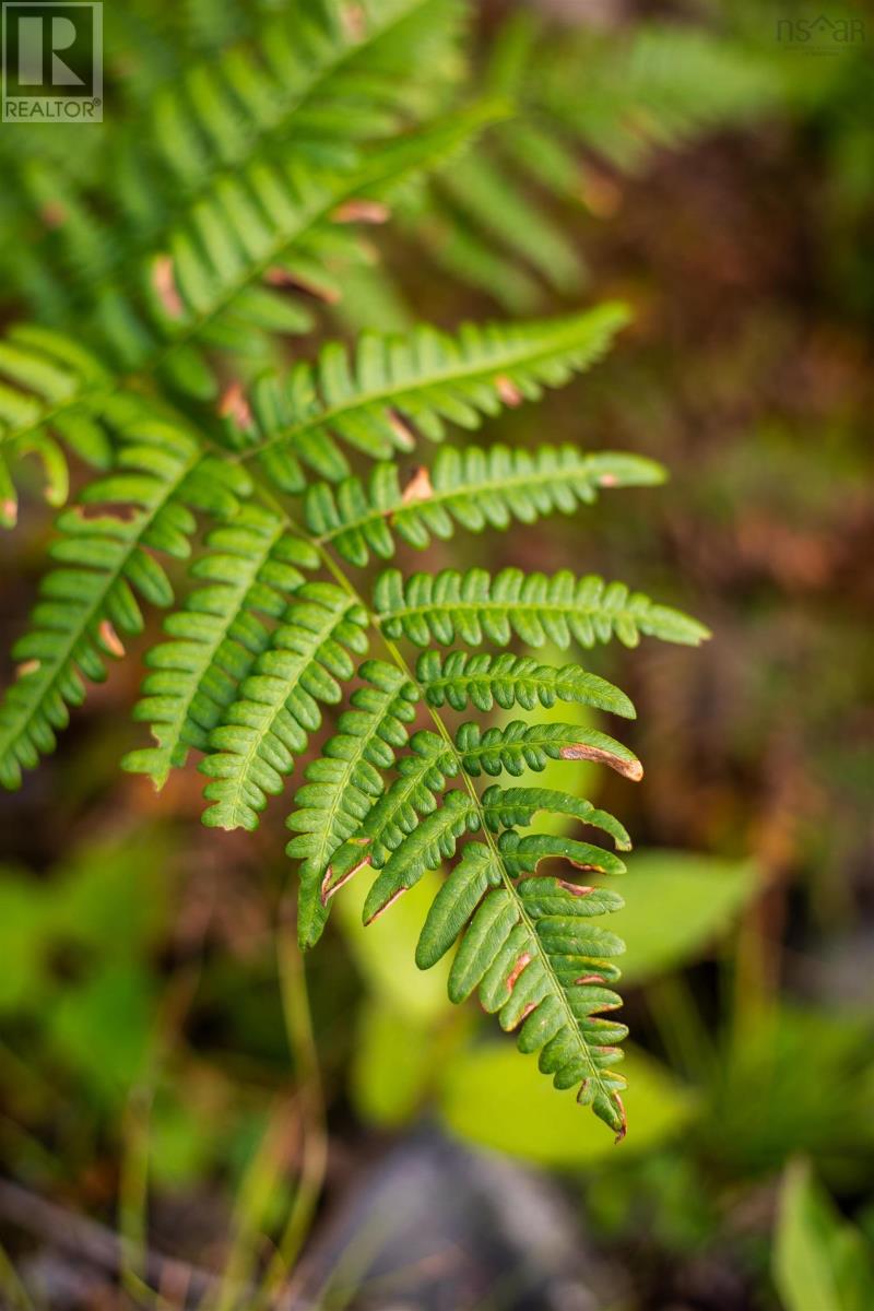 Lot 3 Stamping Mill Lane, Chester Basin, Nova Scotia  B0J 1K0 - Photo 5 - 202321085