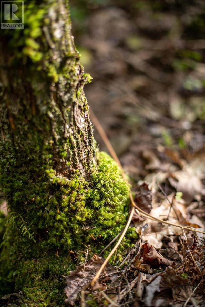 Lot 3 Stamping Mill Lane, Chester Basin, Nova Scotia  B0J 1K0 - Photo 8 - 202321085