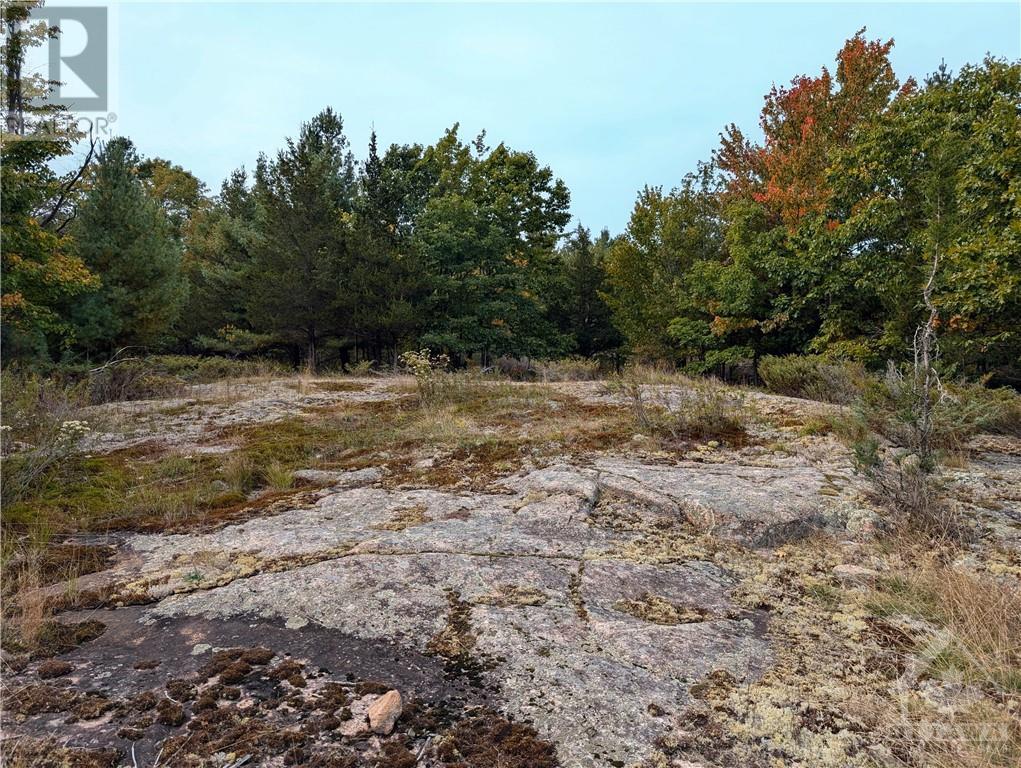 Mountain Road, Westport, Ontario  K0G 1X0 - Photo 16 - 1413440