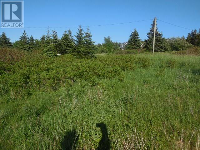 Property at 136 Main Road image 4