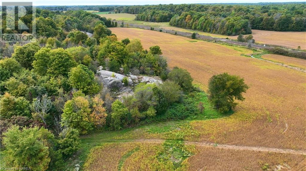 1610 County Rd 2 Road, Mallorytown, Ontario  K0E 1R0 - Photo 13 - 40654156