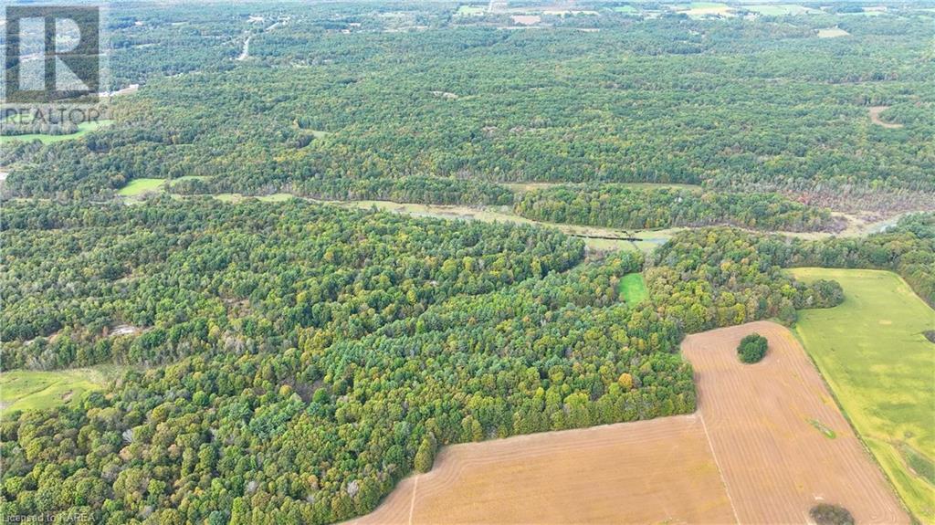 1610 County Rd 2 Road, Mallorytown, Ontario  K0E 1R0 - Photo 6 - 40654156