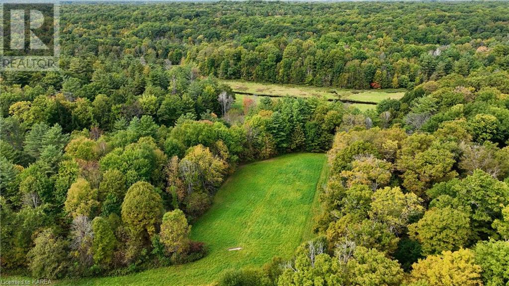 1610 County Rd 2 Road, Mallorytown, Ontario  K0E 1R0 - Photo 11 - 40654156
