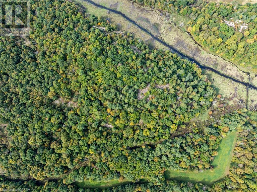 1610 County Rd 2 Road, Mallorytown, Ontario  K0E 1R0 - Photo 29 - 40654156