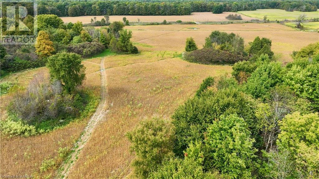 1610 County Rd 2 Road, Mallorytown, Ontario  K0E 1R0 - Photo 10 - 40654156