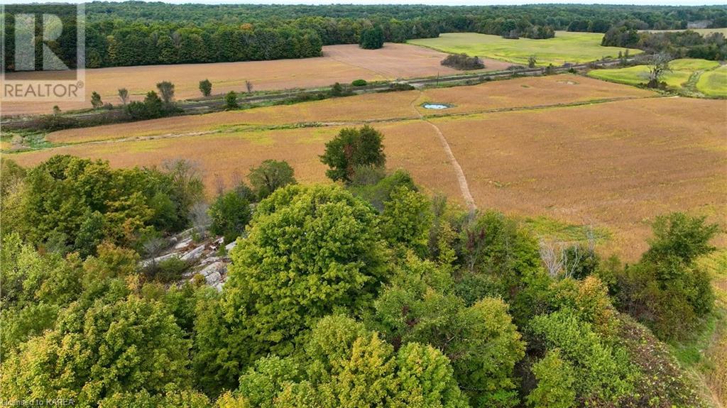 1610 County Rd 2 Road, Mallorytown, Ontario  K0E 1R0 - Photo 4 - 40654156