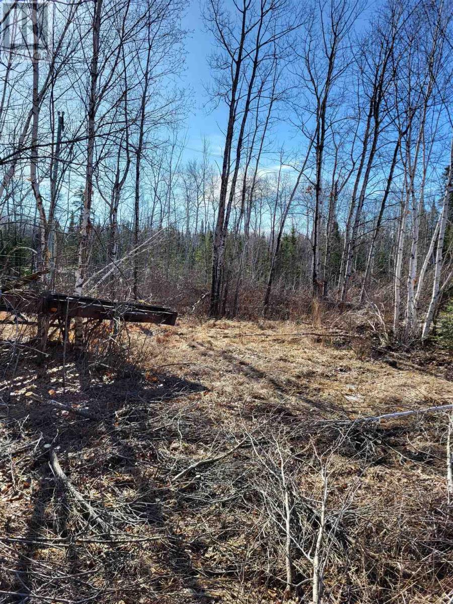 0 Jones Rd, Kenora, Ontario  P9N 3W8 - Photo 12 - TB240806
