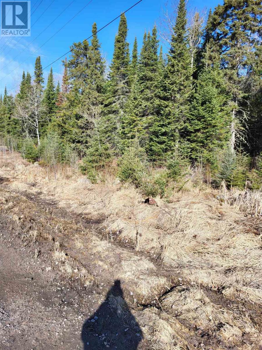 0 Jones Rd, Kenora, Ontario  P9N 3W8 - Photo 14 - TB240806