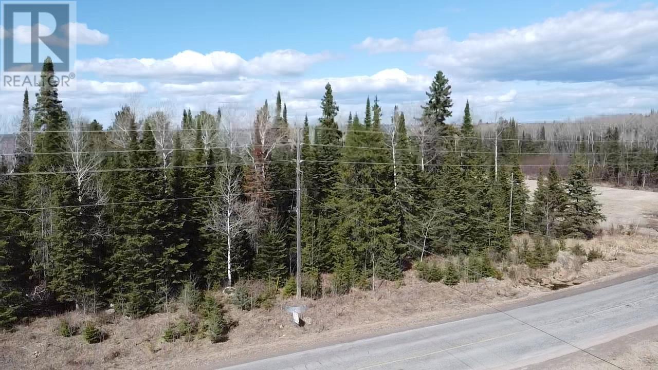 0 Jones Rd, Kenora, Ontario  P9N 3W8 - Photo 5 - TB240806