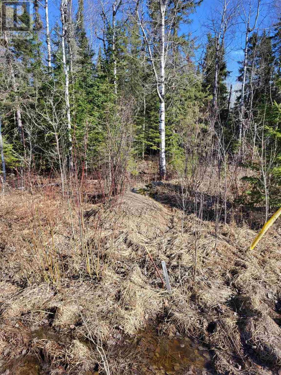 0 Jones Rd, Kenora, Ontario  P9N 3W8 - Photo 12 - TB240843