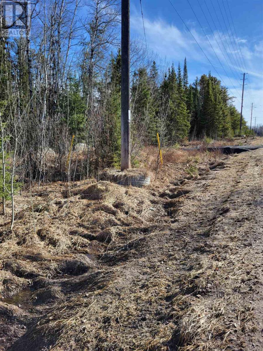 0 Jones Rd, Kenora, Ontario  P9N 3W8 - Photo 13 - TB240843
