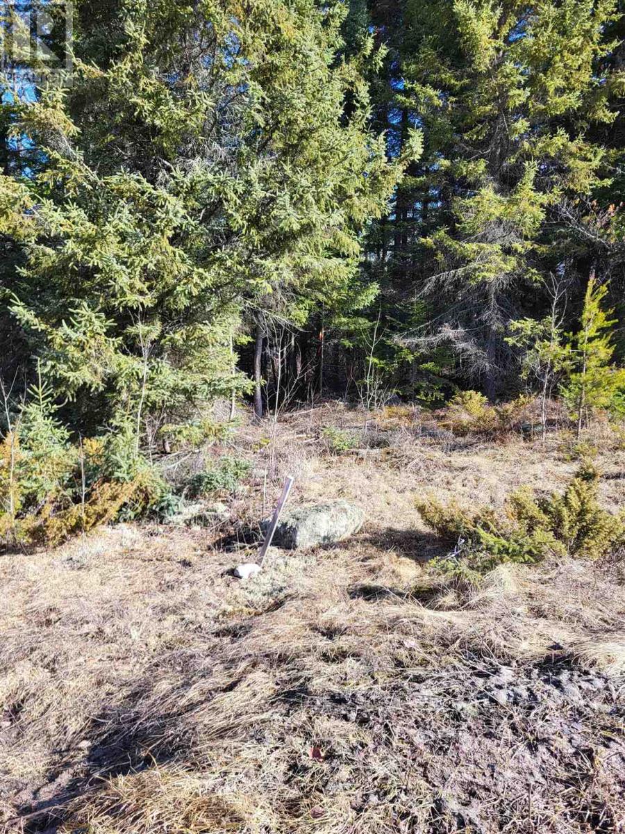 0 Jones Rd, Kenora, Ontario  P9N 3W8 - Photo 16 - TB240843