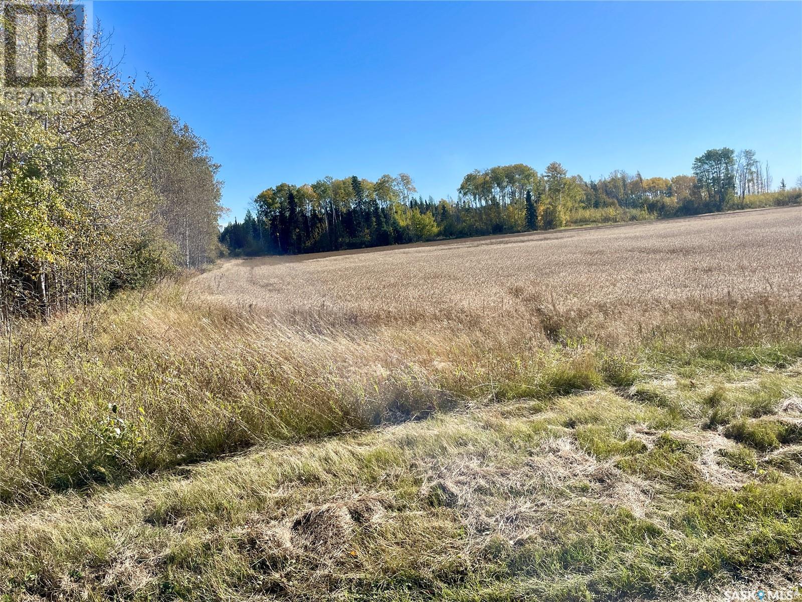 Morton 38.97 Acres, Hudson Bay Rm No. 394, Saskatchewan  S0E 0Y0 - Photo 2 - SK984772