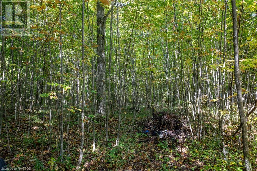 N/a N/a Side Road, Georgian Bluffs, Ontario  N0H 2K0 - Photo 10 - 40654570