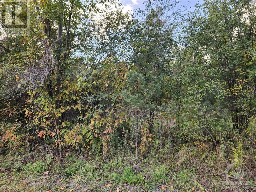 Pl3c8 Jig Street, North Grenville, Ontario  K0G 1S0 - Photo 7 - X9520856