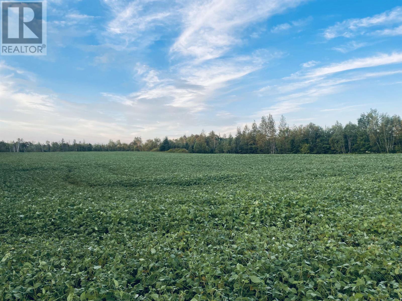 Lot Seven Mile Road, Route 4, Cardross, Prince Edward Island  C0A 1G0 - Photo 2 - 202318616