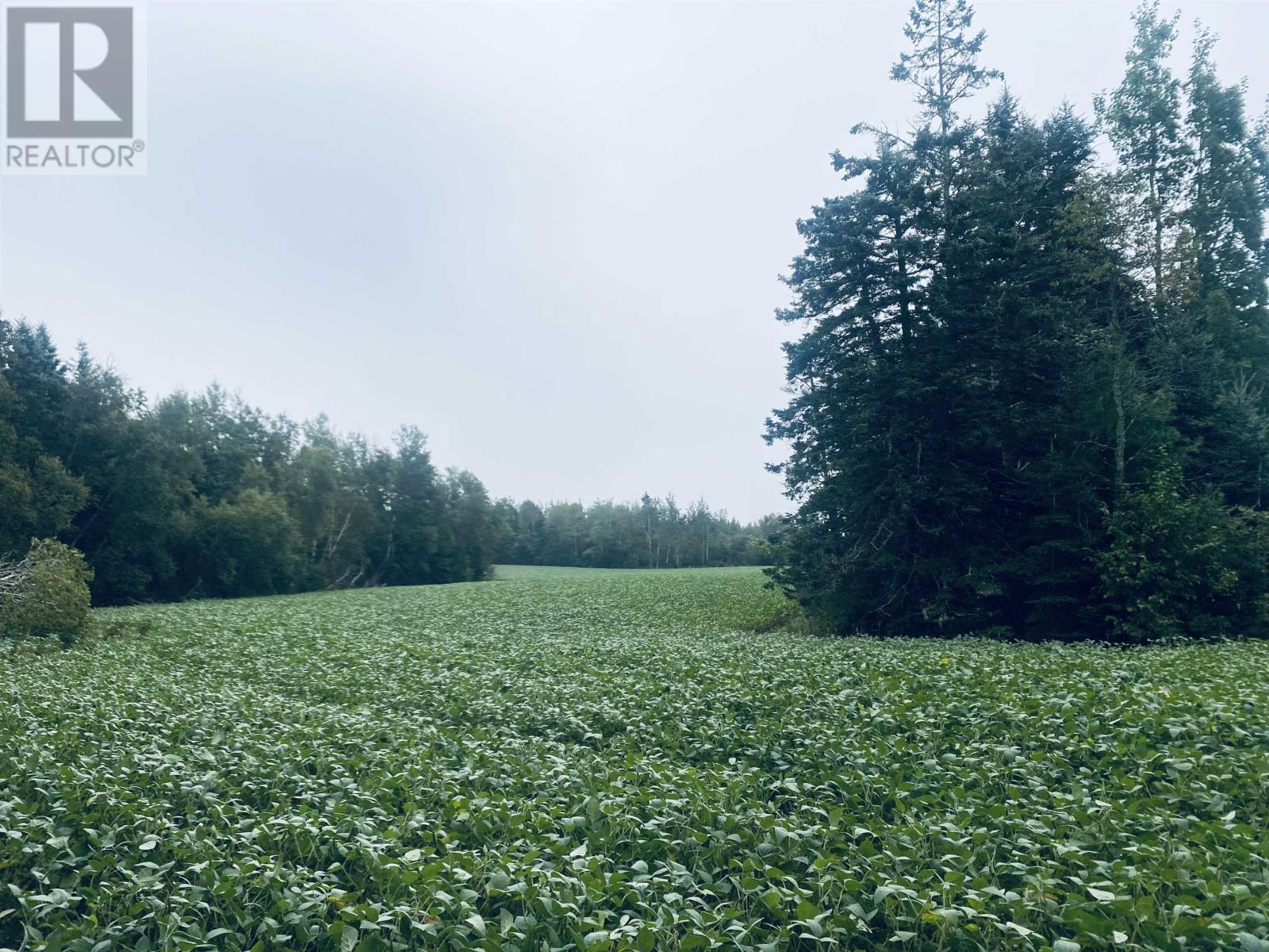 Lot Seven Mile Road, Route 4, Cardross, Prince Edward Island  C0A 1G0 - Photo 23 - 202318616