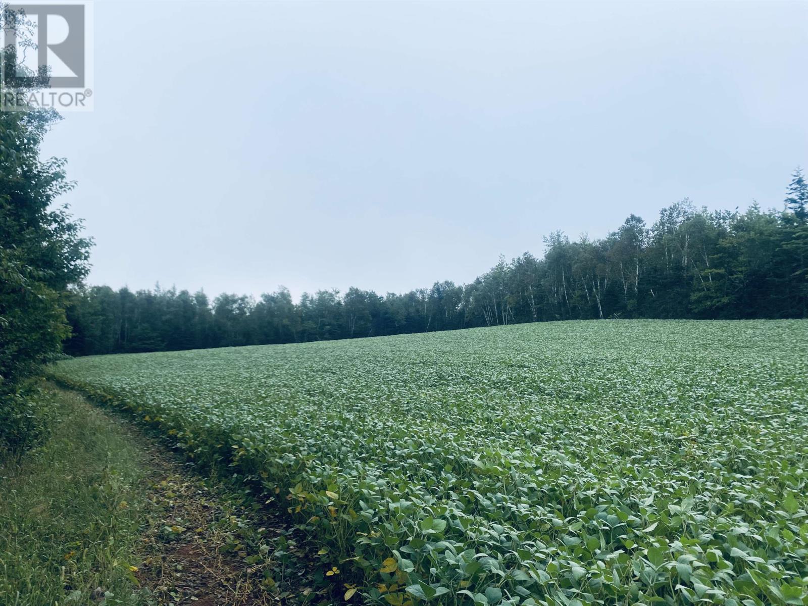 Lot Seven Mile Road, Route 4, Cardross, Prince Edward Island  C0A 1G0 - Photo 26 - 202318616