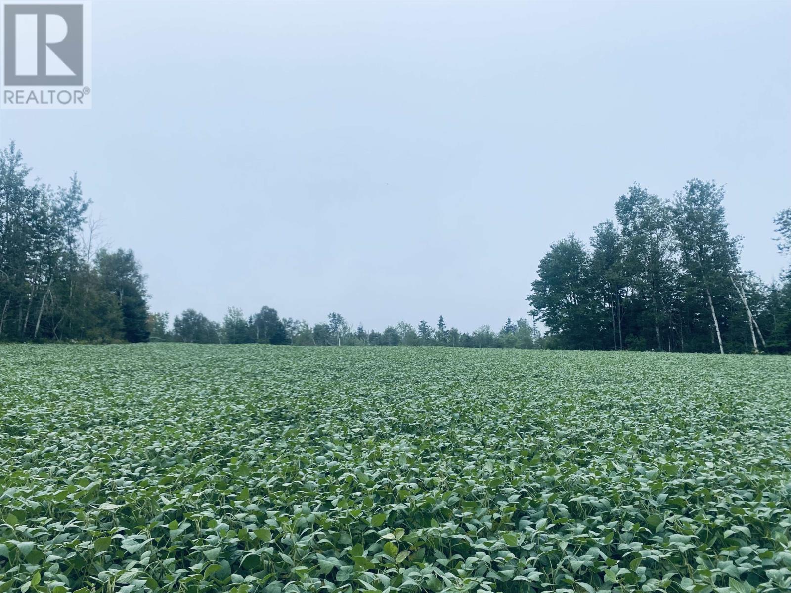 Lot Seven Mile Road, Route 4, Cardross, Prince Edward Island  C0A 1G0 - Photo 27 - 202318616