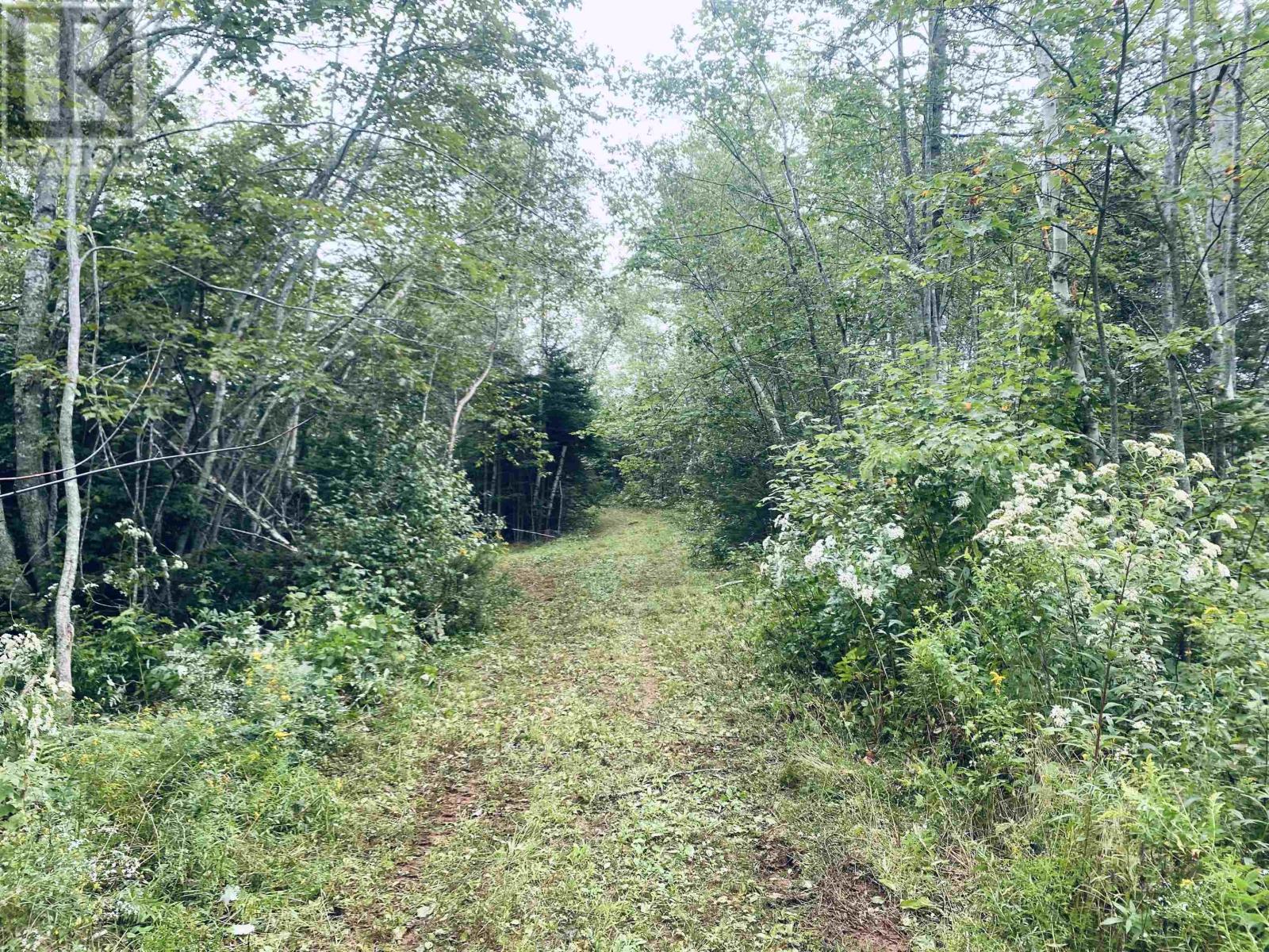 Lot Seven Mile Road, Route 4, Cardross, Prince Edward Island  C0A 1G0 - Photo 33 - 202318616