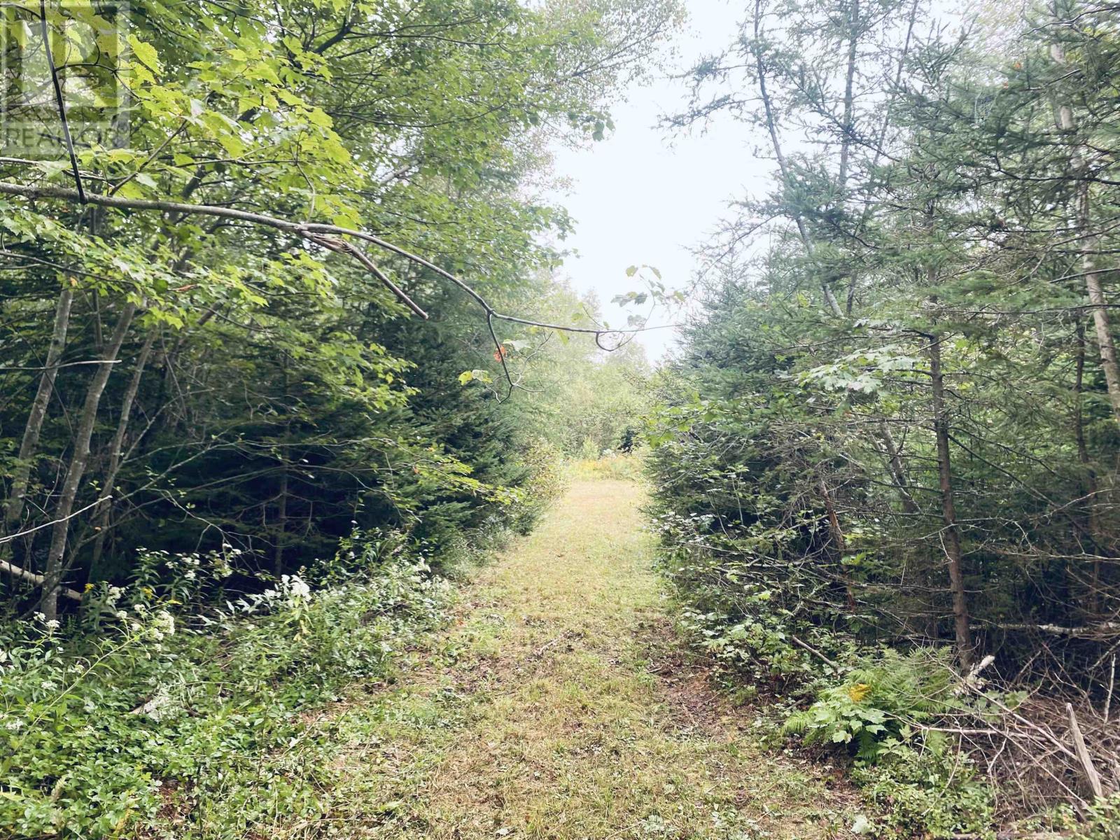 Lot Seven Mile Road, Route 4, Cardross, Prince Edward Island  C0A 1G0 - Photo 34 - 202318616
