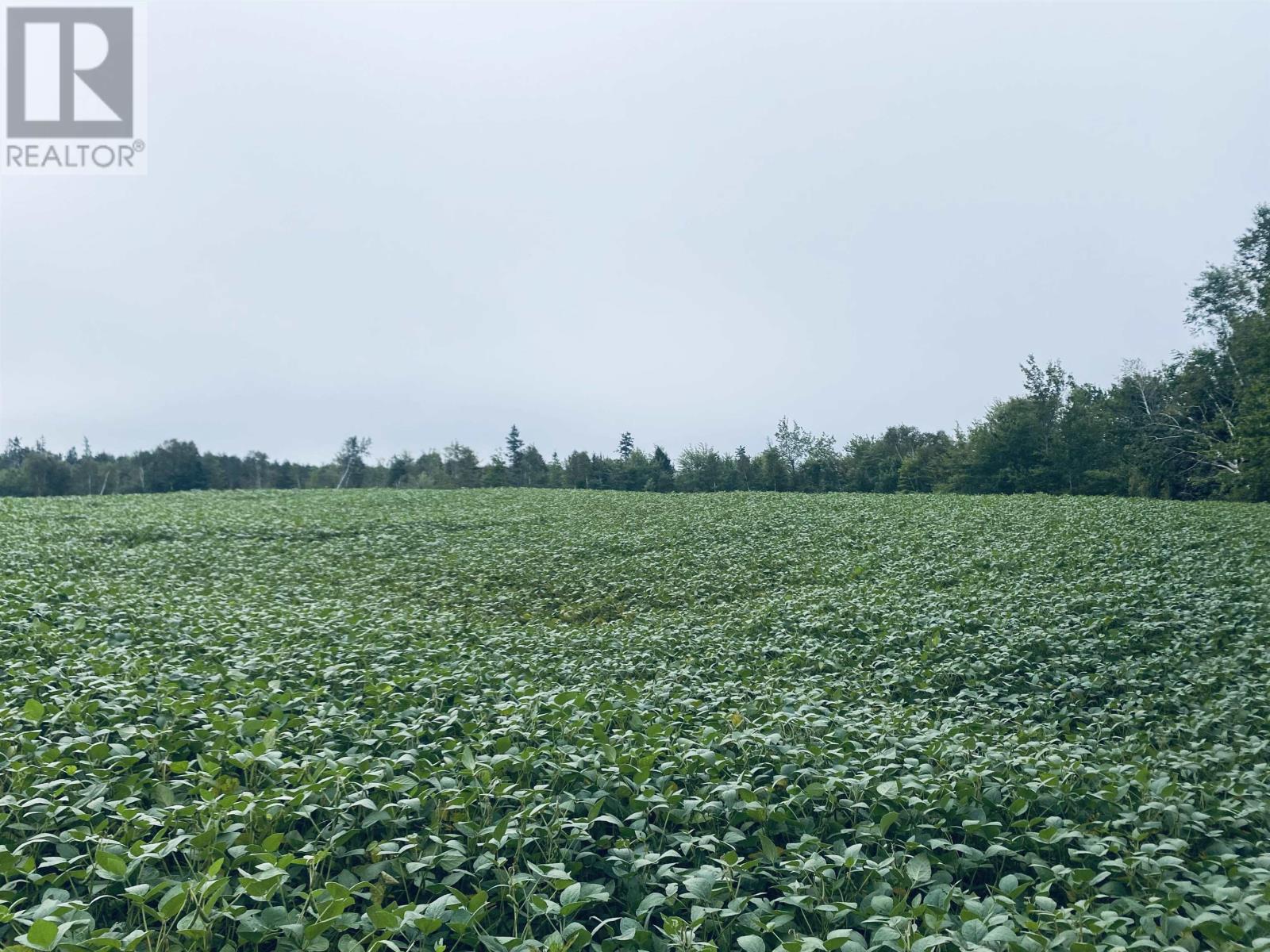 Lot Seven Mile Road, Route 4, Cardross, Prince Edward Island  C0A 1G0 - Photo 36 - 202318616