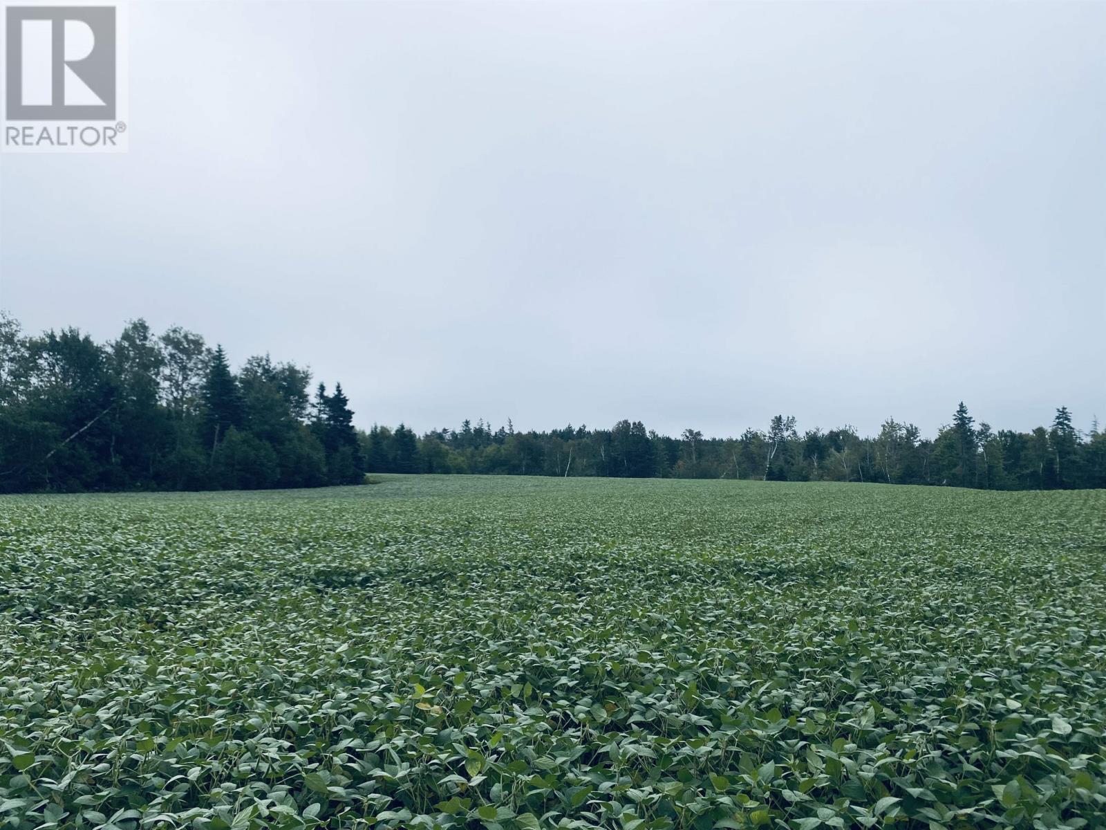 Lot Seven Mile Road, Route 4, Cardross, Prince Edward Island  C0A 1G0 - Photo 39 - 202318616
