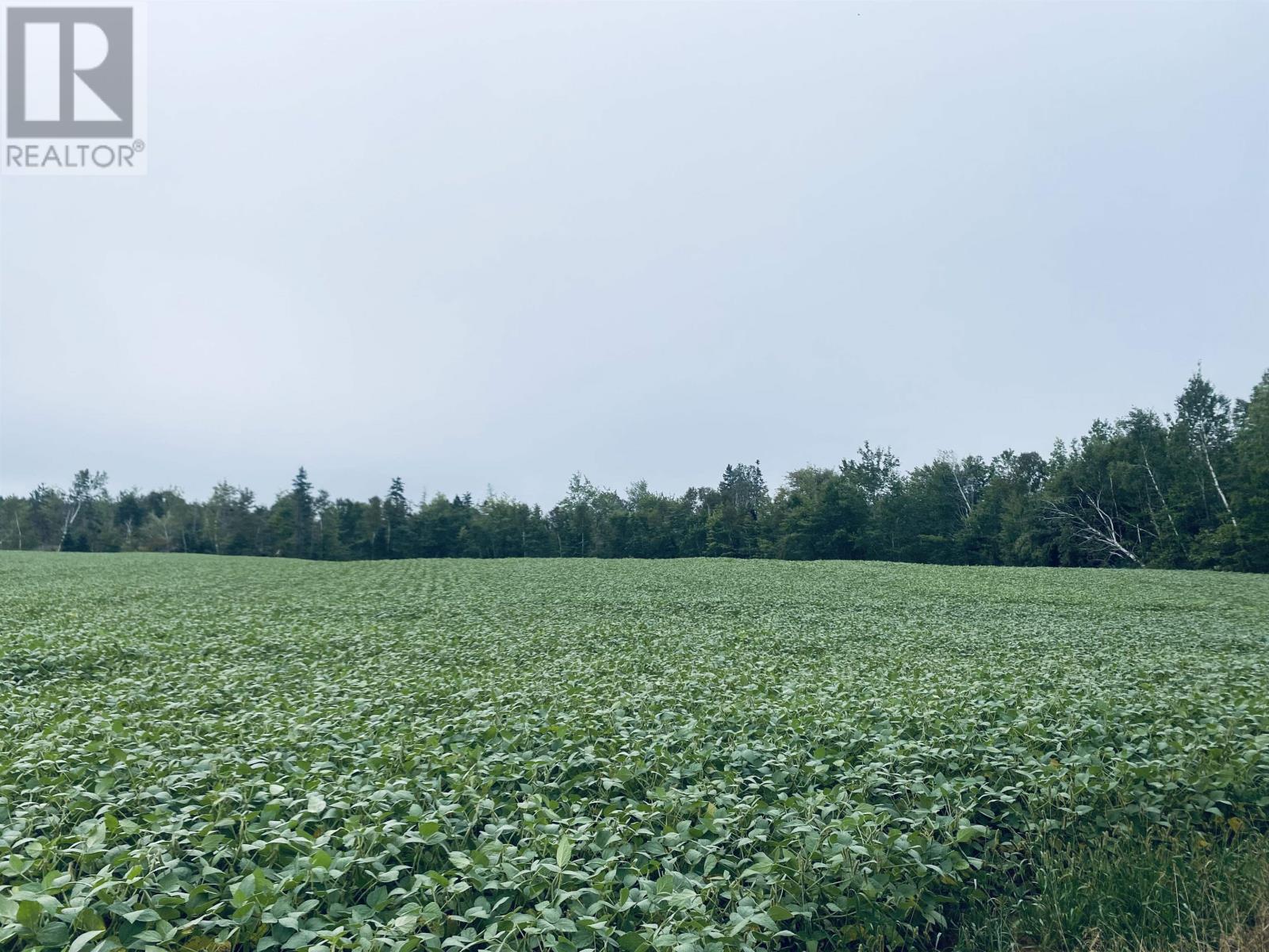 Lot Seven Mile Road, Route 4, Cardross, Prince Edward Island  C0A 1G0 - Photo 40 - 202318616
