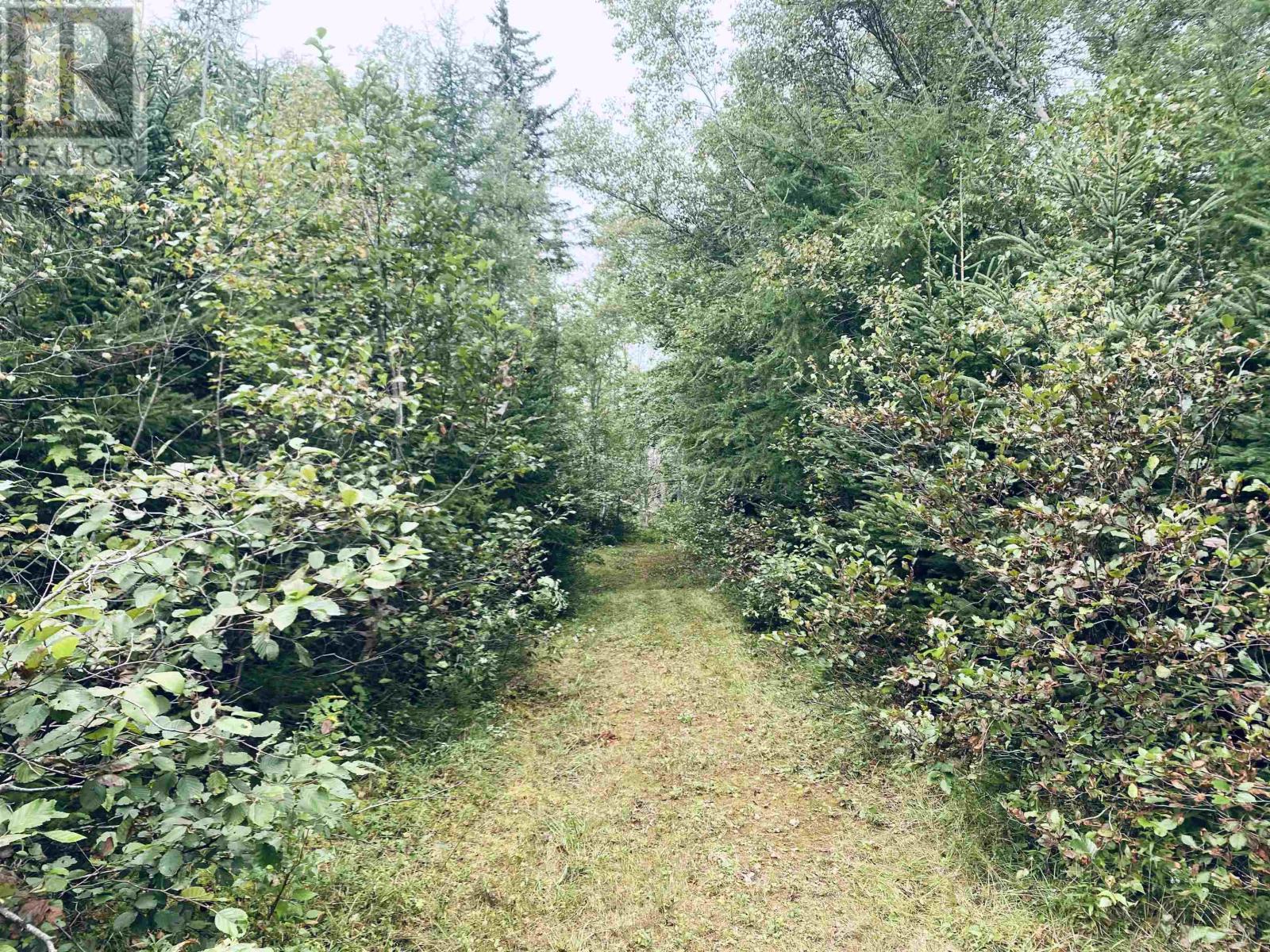 Lot Seven Mile Road, Route 4, Cardross, Prince Edward Island  C0A 1G0 - Photo 41 - 202318616