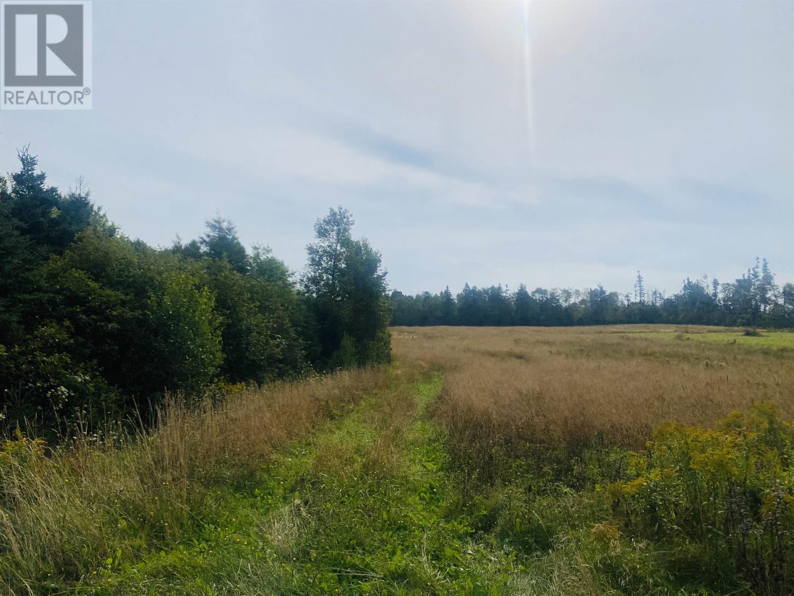 Lot Seven Mile Road, Route 4, Cardross, Prince Edward Island  C0A 1G0 - Photo 8 - 202318616