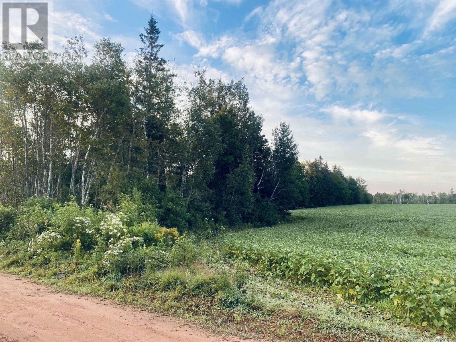 Lot Seven Mile Road, Route 4, Cardross, Prince Edward Island  C0A 1G0 - Photo 9 - 202318616