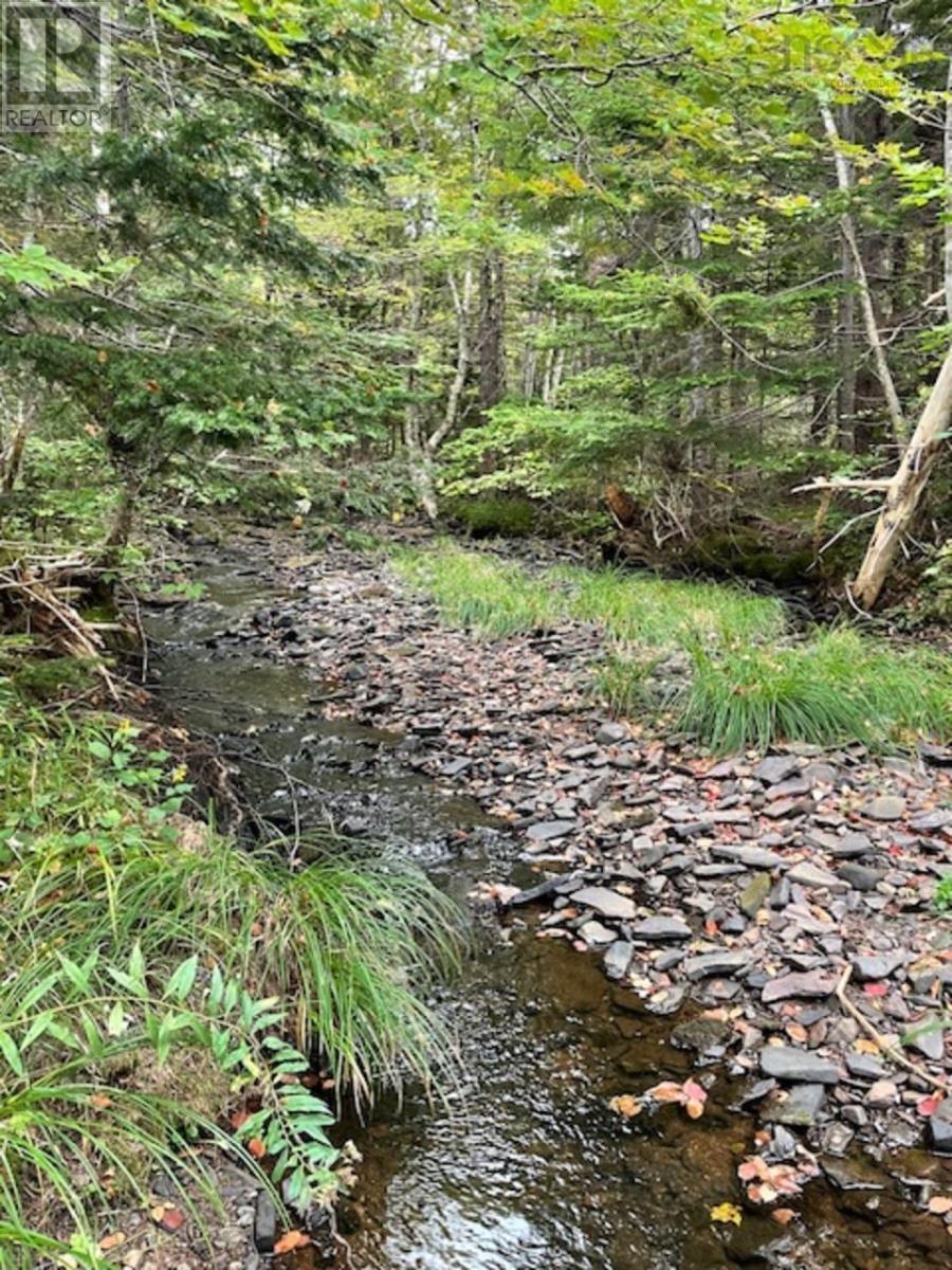 Ainslie Glen Road, Ainslie Glen, Nova Scotia  B0E 1M0 - Photo 23 - 202423480