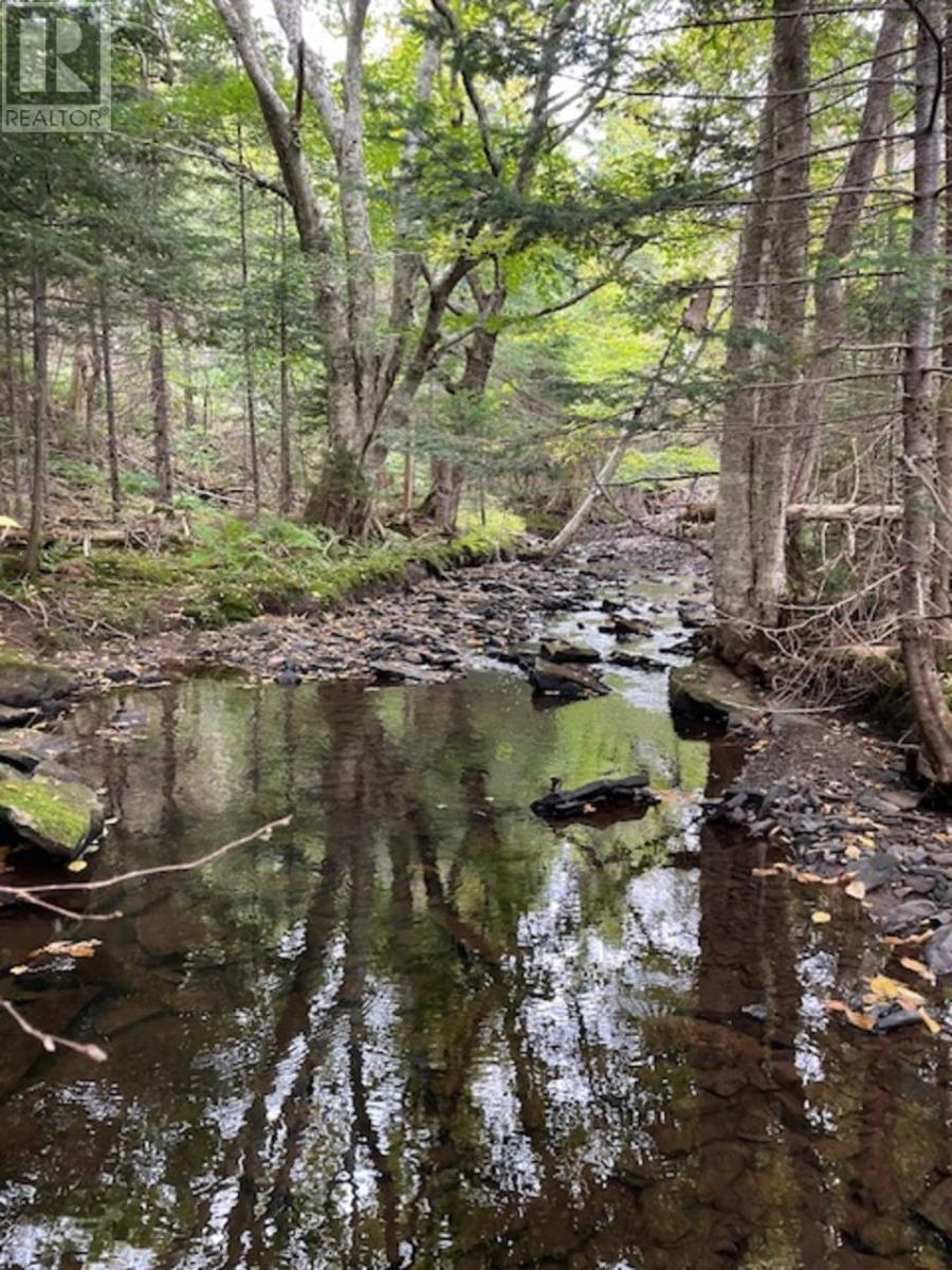 Ainslie Glen Road, Ainslie Glen, Nova Scotia  B0E 1M0 - Photo 5 - 202423480